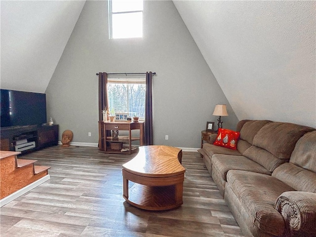 living room featuring lofted ceiling and hardwood / wood-style floors