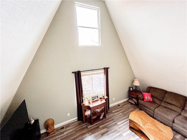 living room with lofted ceiling and wood-type flooring