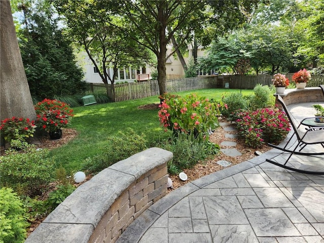 view of yard with a patio area