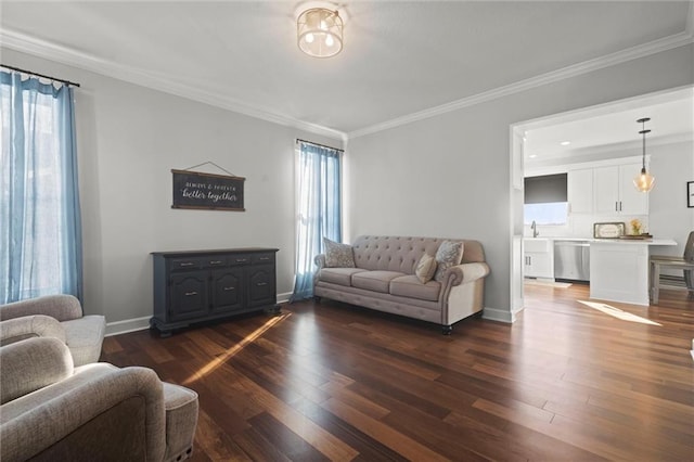 living room featuring sink, ornamental molding, and dark wood-type flooring