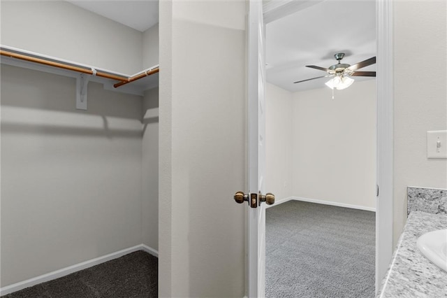 walk in closet with ceiling fan, sink, and carpet