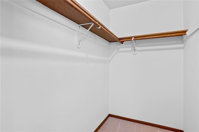 walk in closet with carpet