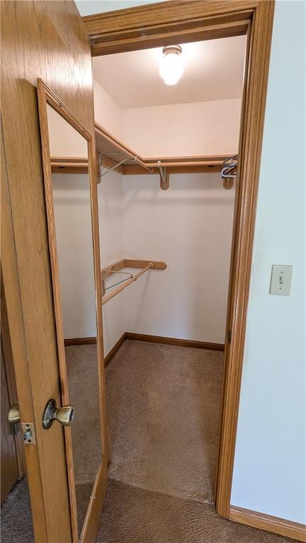 1205 Wentley Dr, Hiawatha, KS 66434 - walk in closet featuring carpet flooring