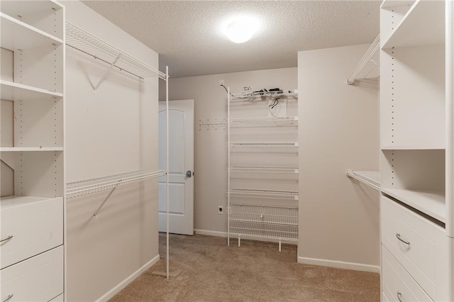 spacious closet with light carpet