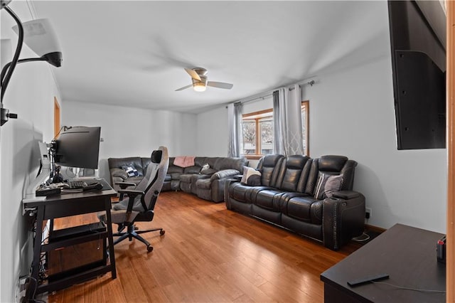 office space featuring ceiling fan and wood-type flooring