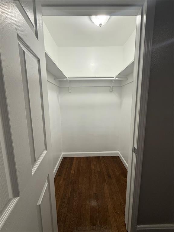 spacious closet featuring dark wood-type flooring