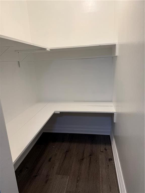 walk in closet featuring wood finished floors