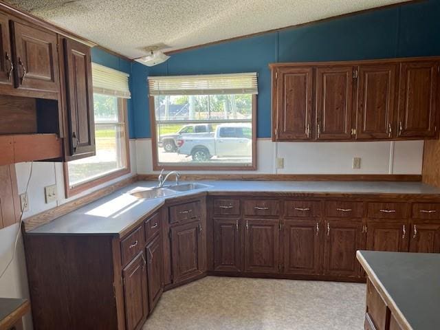 kitchen featuring a textured ceiling, vaulted ceiling, and sink