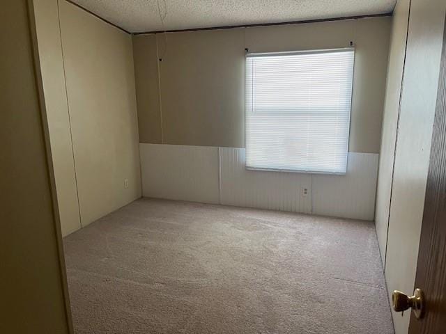 spare room with light colored carpet and a textured ceiling