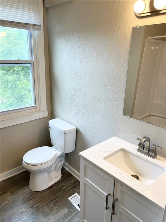 bathroom featuring vanity, hardwood / wood-style flooring, and toilet