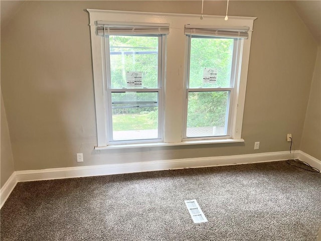 bonus room featuring carpet floors