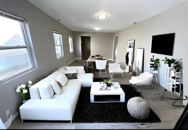 living room featuring wood-type flooring