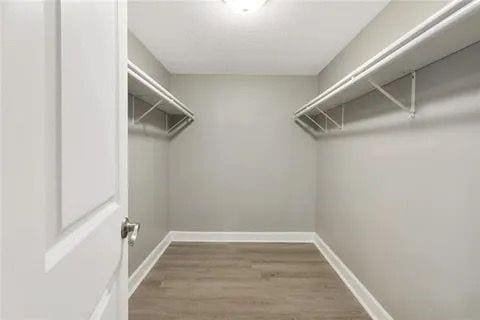 spacious closet with dark hardwood / wood-style floors