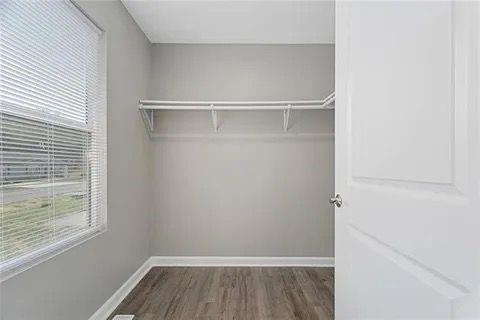 spacious closet with dark wood-type flooring