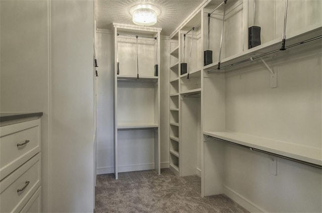 17028 Parkhill St, Overland Park, KS 66221 - walk in closet with carpet floors