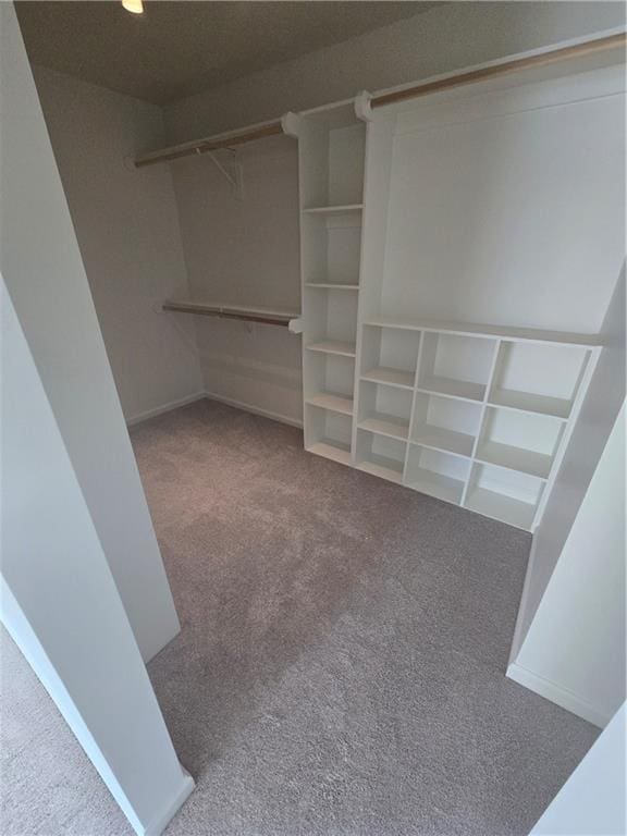 walk in closet with carpet flooring