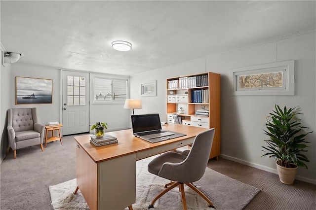 view of carpeted home office