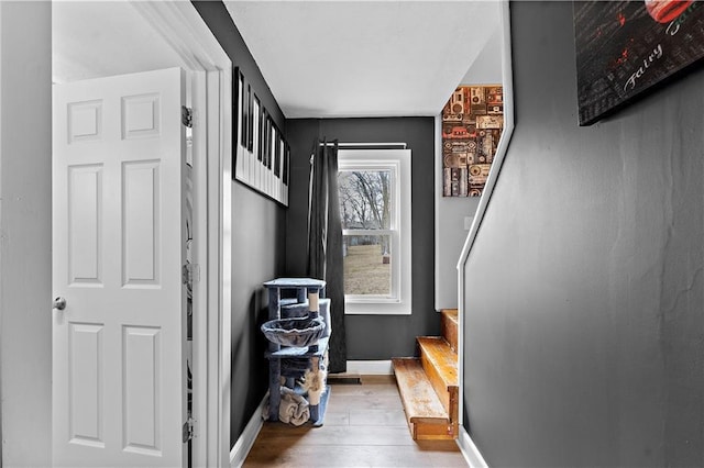 interior space featuring wood-type flooring