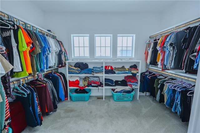 spacious closet with carpet flooring