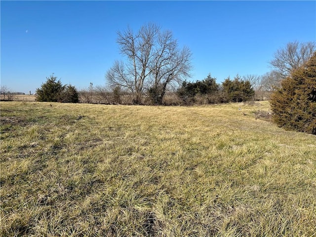 view of yard featuring a rural view