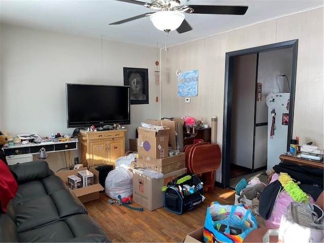 living room with ceiling fan and wood-type flooring