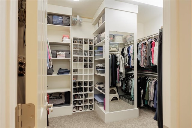 spacious closet with light carpet