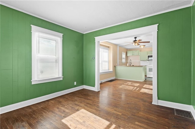 unfurnished room featuring sink, dark hardwood / wood-style flooring, and a healthy amount of sunlight