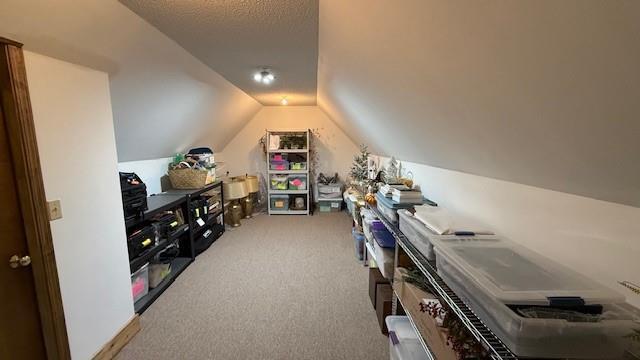 bonus room featuring carpet flooring, vaulted ceiling, and a textured ceiling