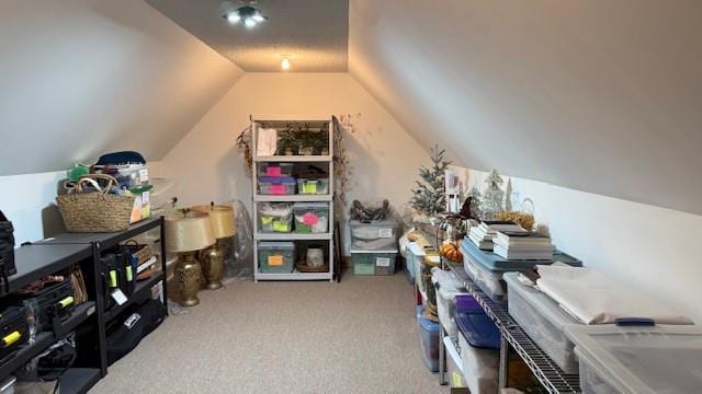 additional living space with lofted ceiling and carpet