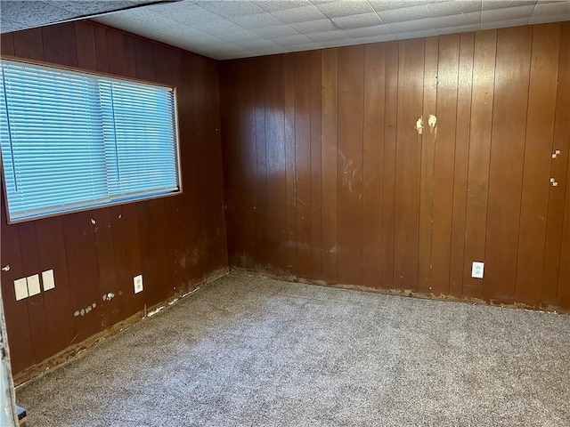 unfurnished room featuring carpet floors, a wealth of natural light, and wood walls