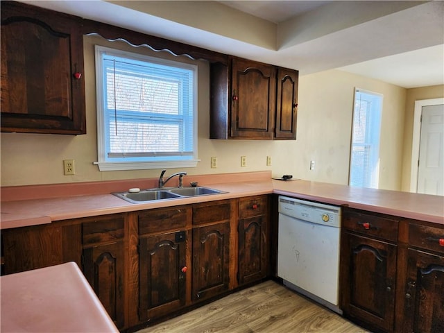 kitchen featuring white dishwasher, dark brown cabinetry, light hardwood / wood-style flooring, and sink