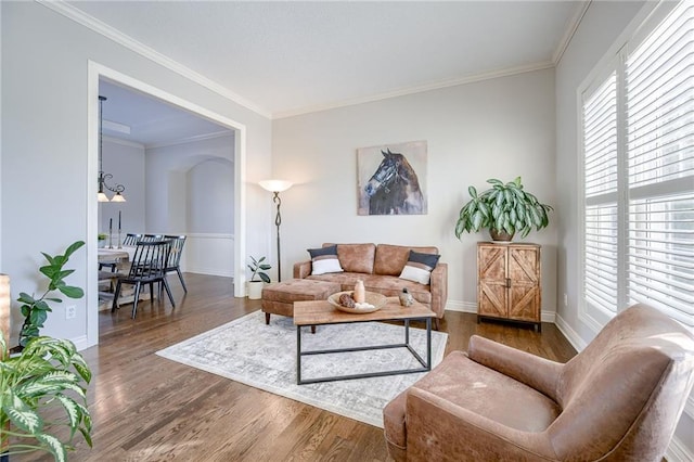 living room featuring dark wood-type flooring, an inviting chandelier, and crown molding