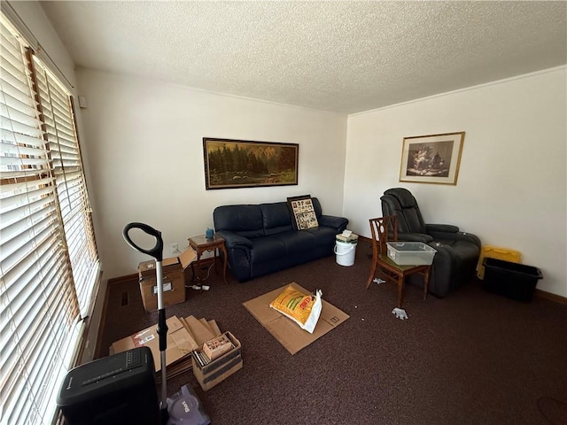 living room featuring a textured ceiling and dark colored carpet