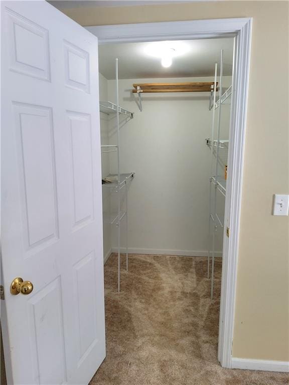 walk in closet featuring carpet