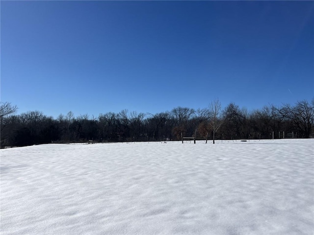 view of yard layered in snow