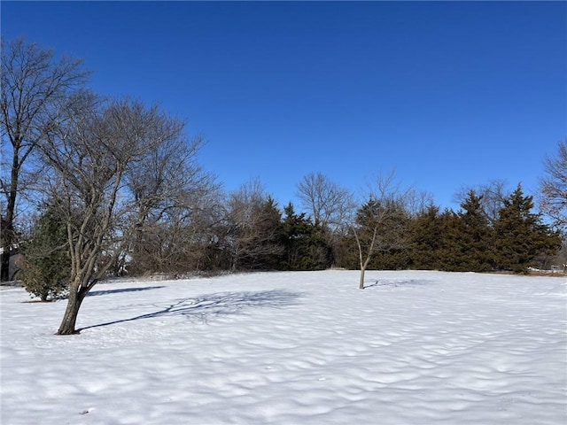 view of snowy yard