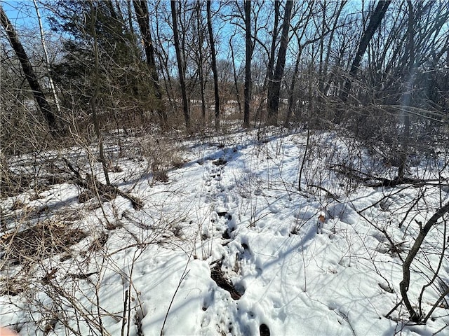 view of snow covered land