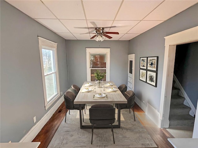 dining area with wood-type flooring, a drop ceiling, and ceiling fan