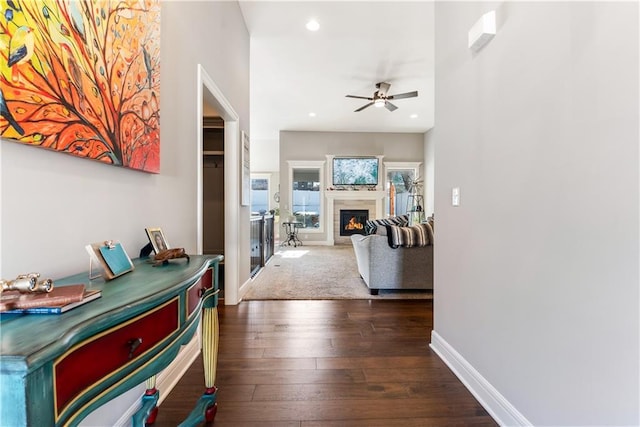 hallway featuring dark wood-type flooring