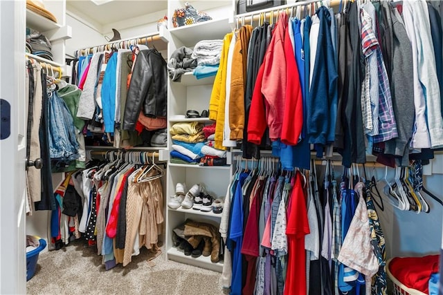 spacious closet with carpet flooring