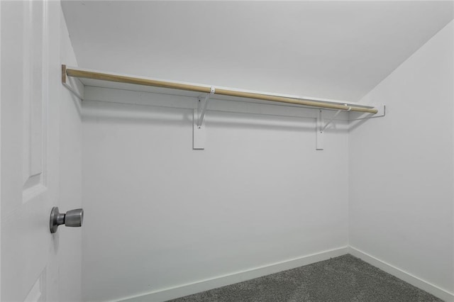 walk in closet with dark colored carpet