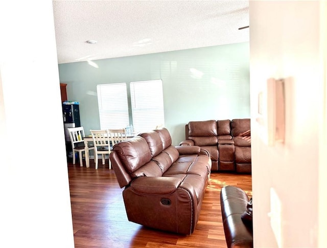 living room with a textured ceiling and hardwood / wood-style floors