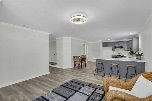 living room with sink, crown molding, and light hardwood / wood-style flooring