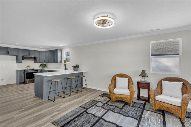 kitchen featuring a kitchen bar, kitchen peninsula, gray cabinets, stainless steel appliances, and ornamental molding