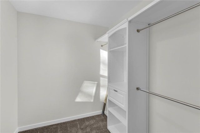 spacious closet with dark colored carpet