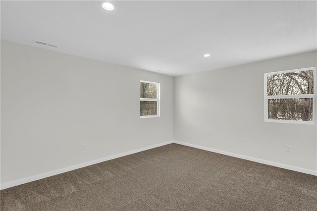 empty room featuring a wealth of natural light and carpet flooring