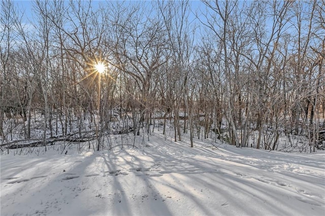 view of yard covered in snow