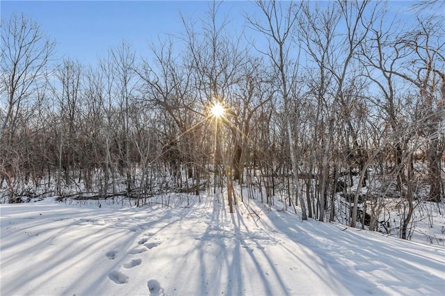 view of snowy yard