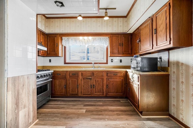 kitchen with decorative backsplash, high end range, sink, and wood-type flooring