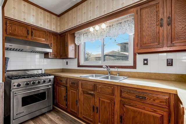 kitchen featuring premium range, crown molding, light hardwood / wood-style flooring, sink, and decorative backsplash